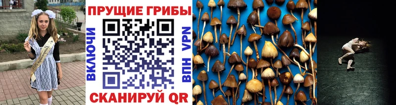 Галлюциногенные грибы GOLDEN TEACHER Новочеркасск